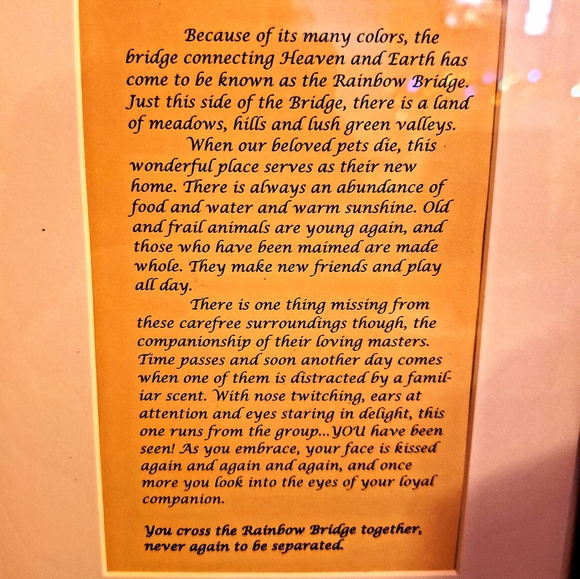 Meet your Posher, Jana Cherie - Picture 8 of 8